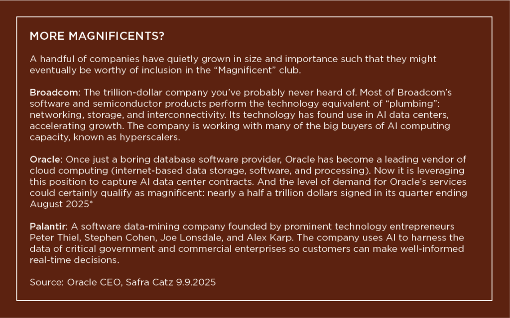 This text box lists other companies that have grown in size and importance such that they might eventually be worth of inclusion in the "Magnificent' club. They are: Broadcom, Oracle, and Palantir